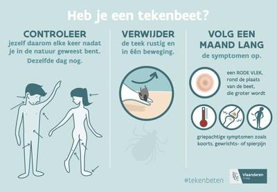 heb je een tekenbeet? Controleer, verwijder en volg op!